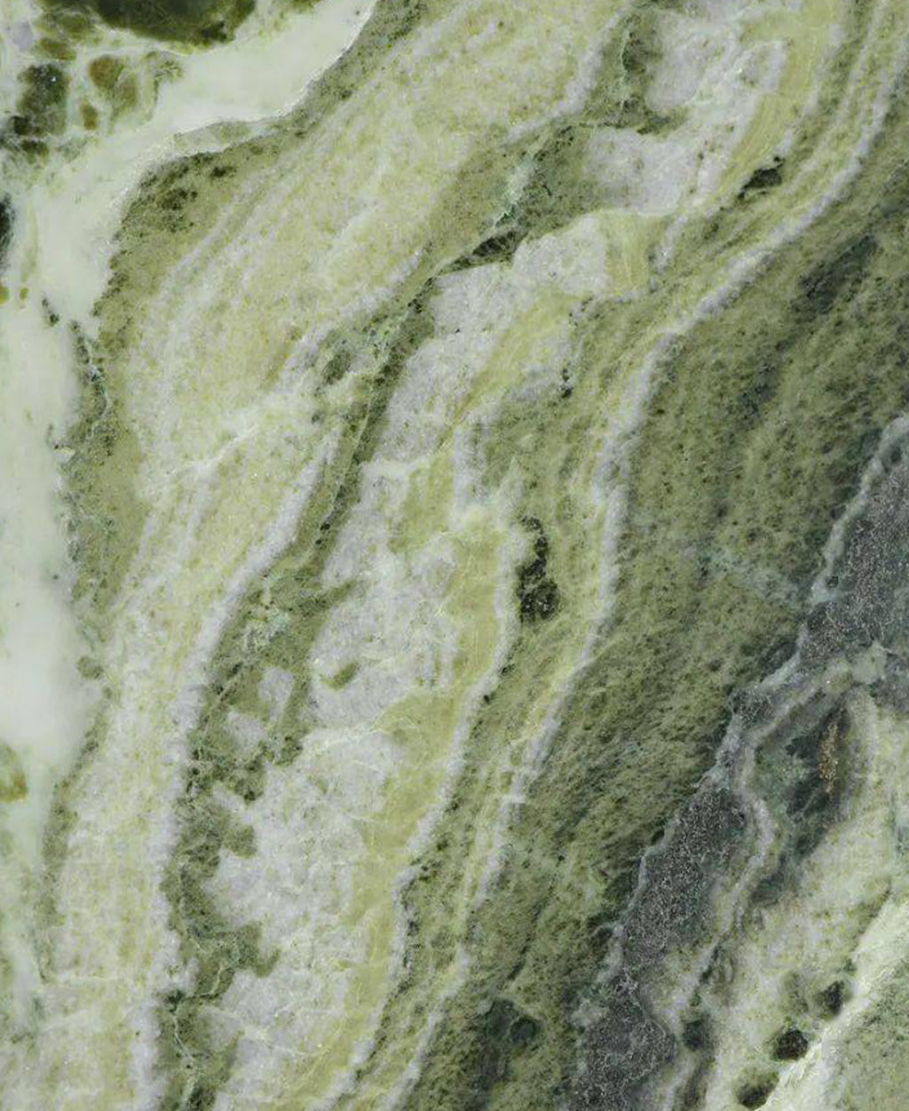 PEBBLE | Verdant Peak- Limited Edition