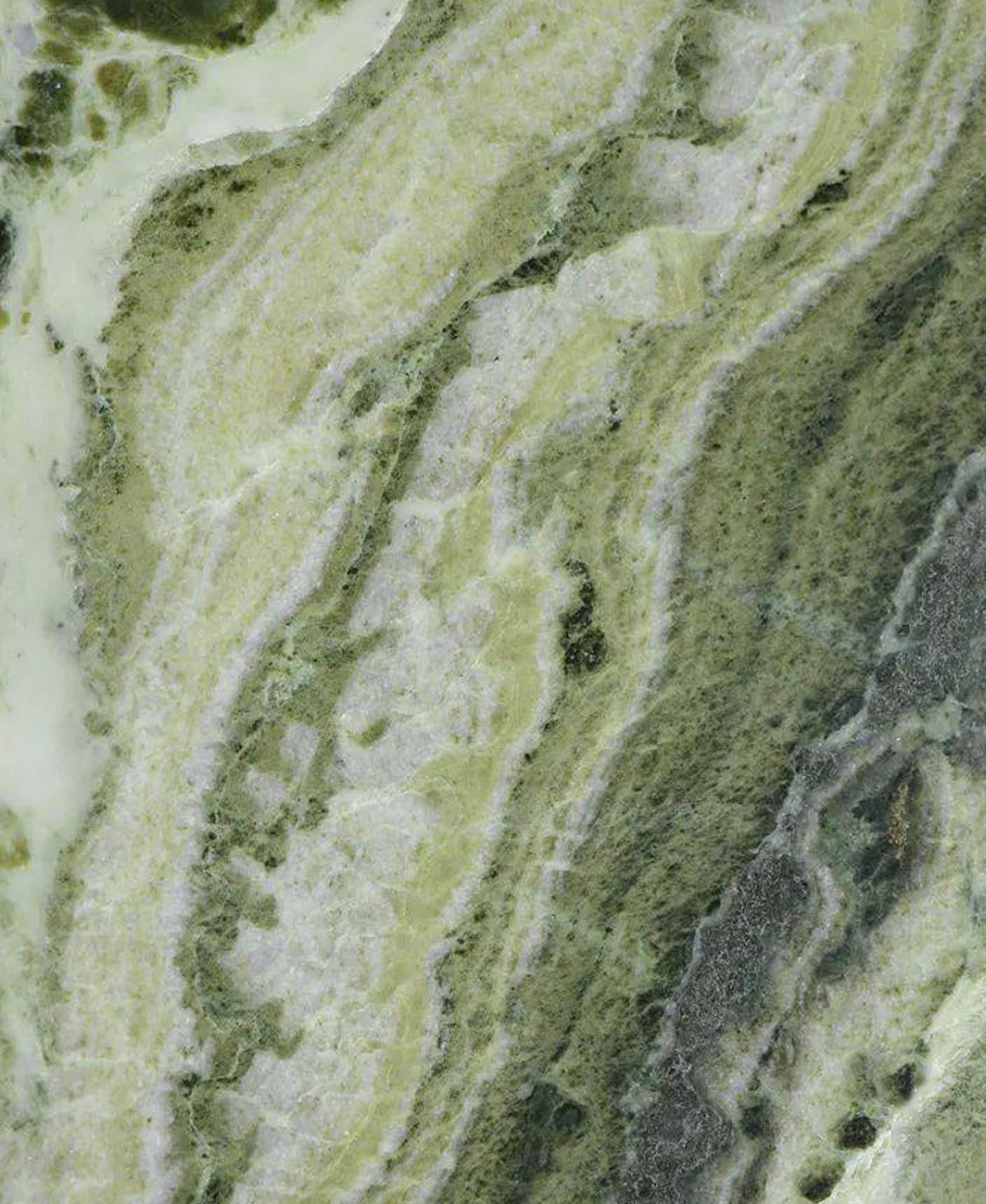 PEBBLE | Verdant Peak- Limited Edition